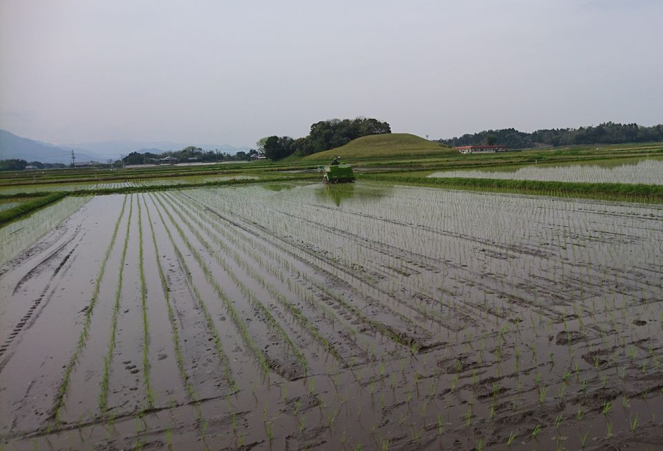 _20200416_044750.jpgのサムネイル画像