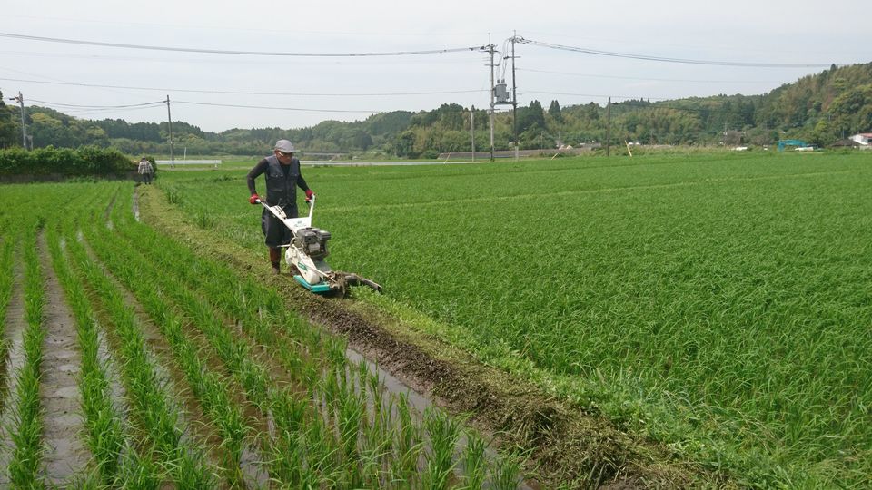 DSC_0404.jpgのサムネイル画像