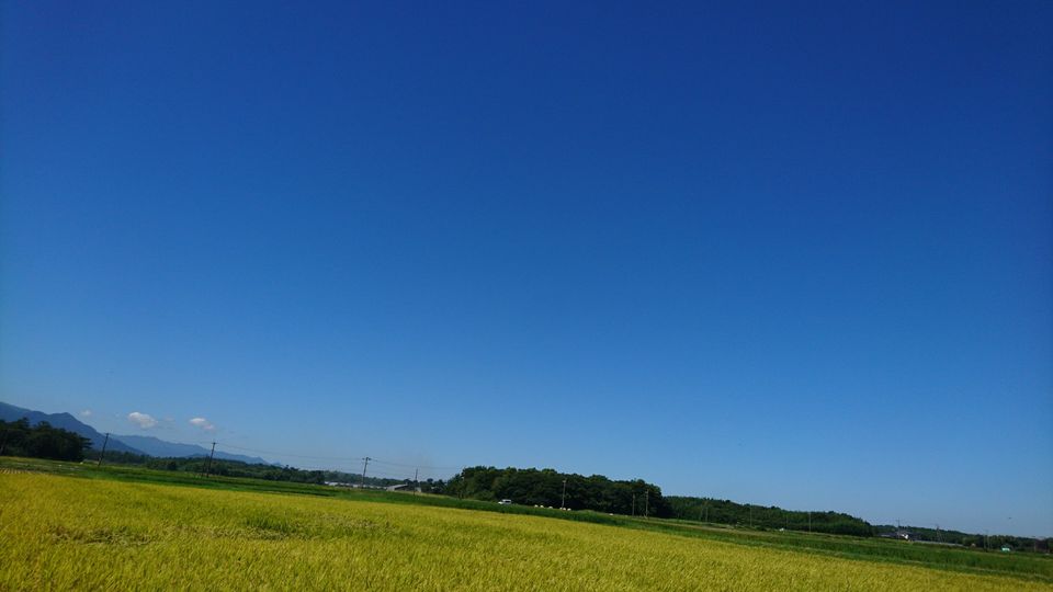 DSC_0566.jpg