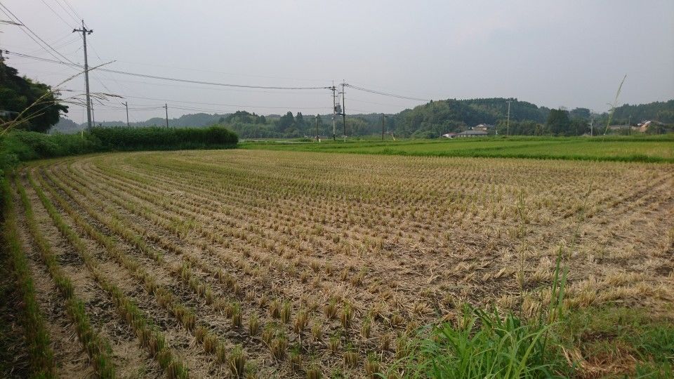 DSC_0632.jpg