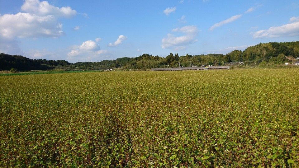DSC_1665.jpg
