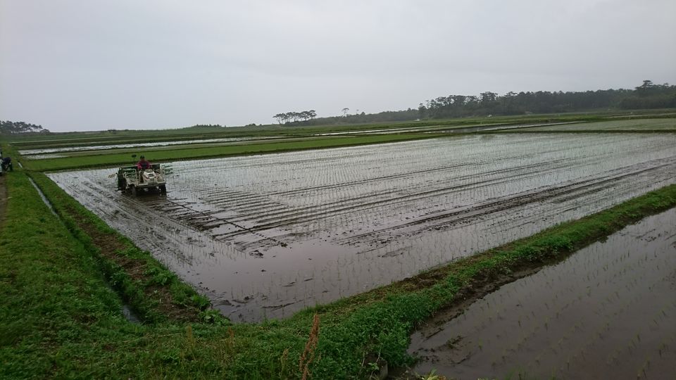 DSC_3458.jpg