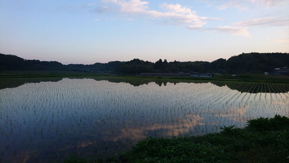 DSC_3712.jpg