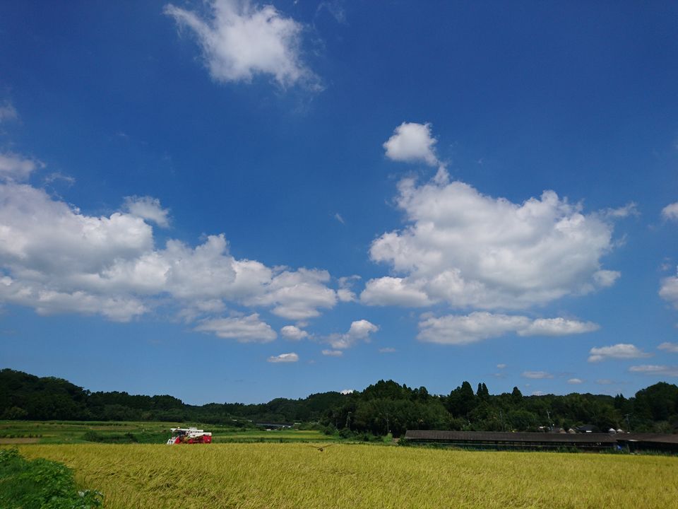 DSC_5045.jpg