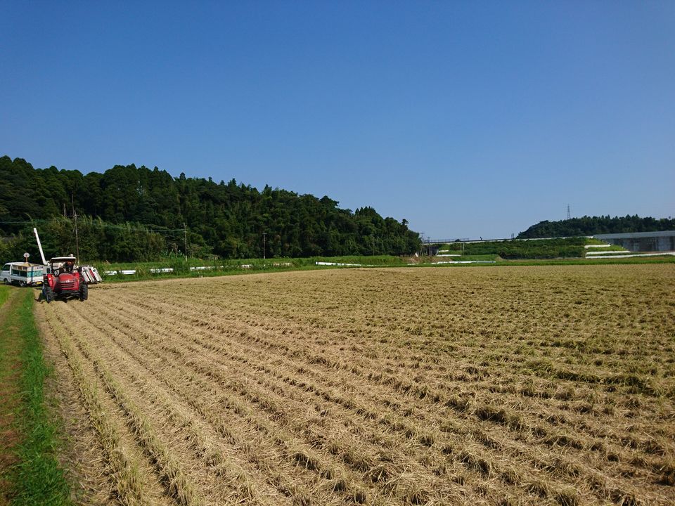 DSC_5068.jpg